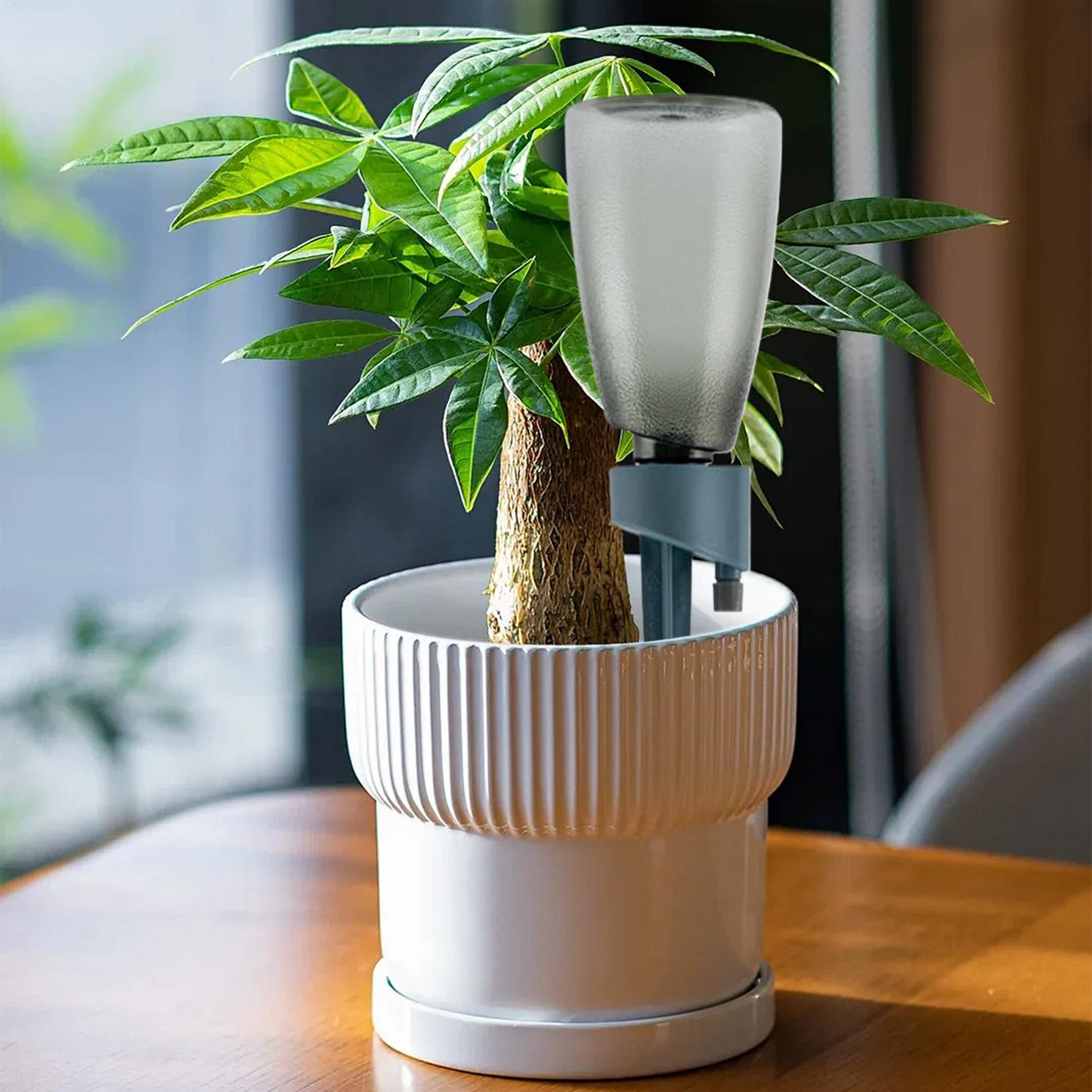 6pcs Automatic Waterer Househo - Self Watering Insert ulasan dan harga