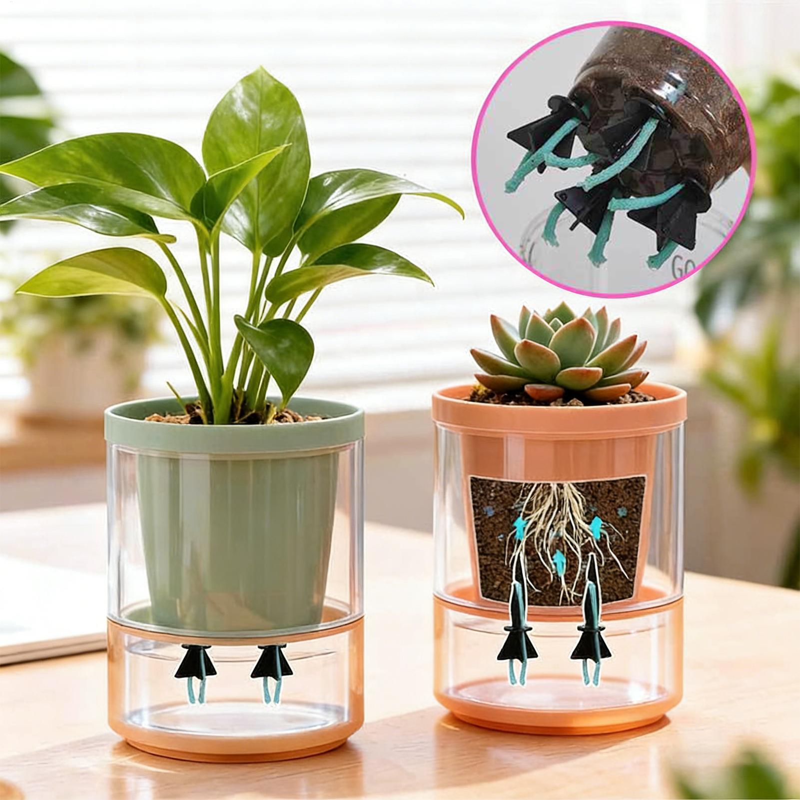 Self Watering Planter Insert 4 - Self Watering Insert ulasan dan harga