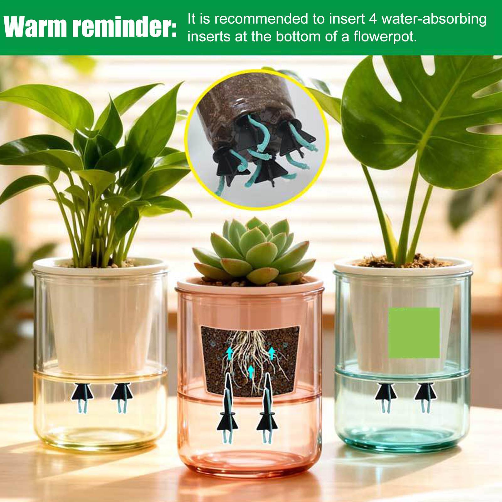 Self Watering Planter Insert 4 - Self Watering Insert ulasan dan harga