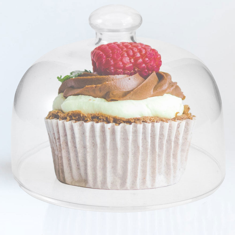 2Pcs Clear Glass Round Cake Co - Plastic Dome Clear ulasan dan harga