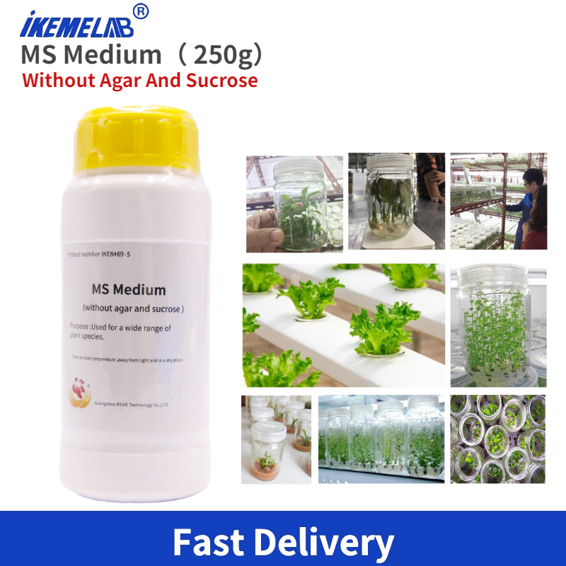 IKEME Lab MS Medium 250g Witho - Agar Tissue Culture ulasan dan harga