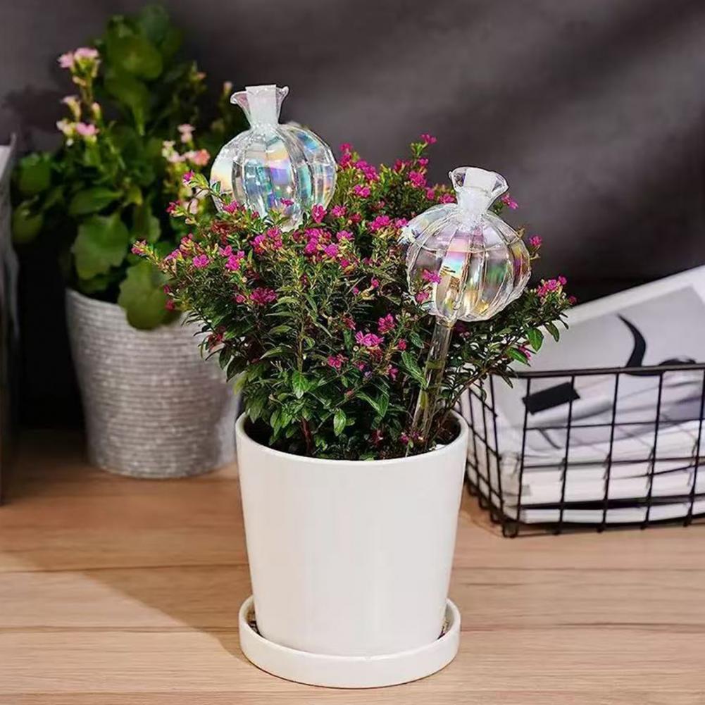 24cm Cactus Self Watering Bulb - Self Watering Insert ulasan dan harga