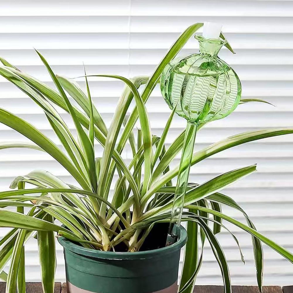 24cm Cactus Self Watering Bulb - Self Watering Insert ulasan dan harga