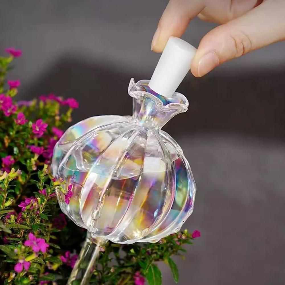 24cm Cactus Self Watering Bulb - Self Watering Insert ulasan dan harga