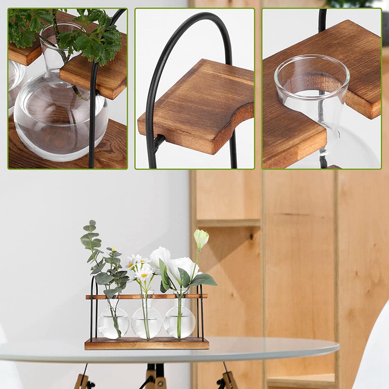 Plant Propagation Station with - Propagation Station Vase ulasan dan harga