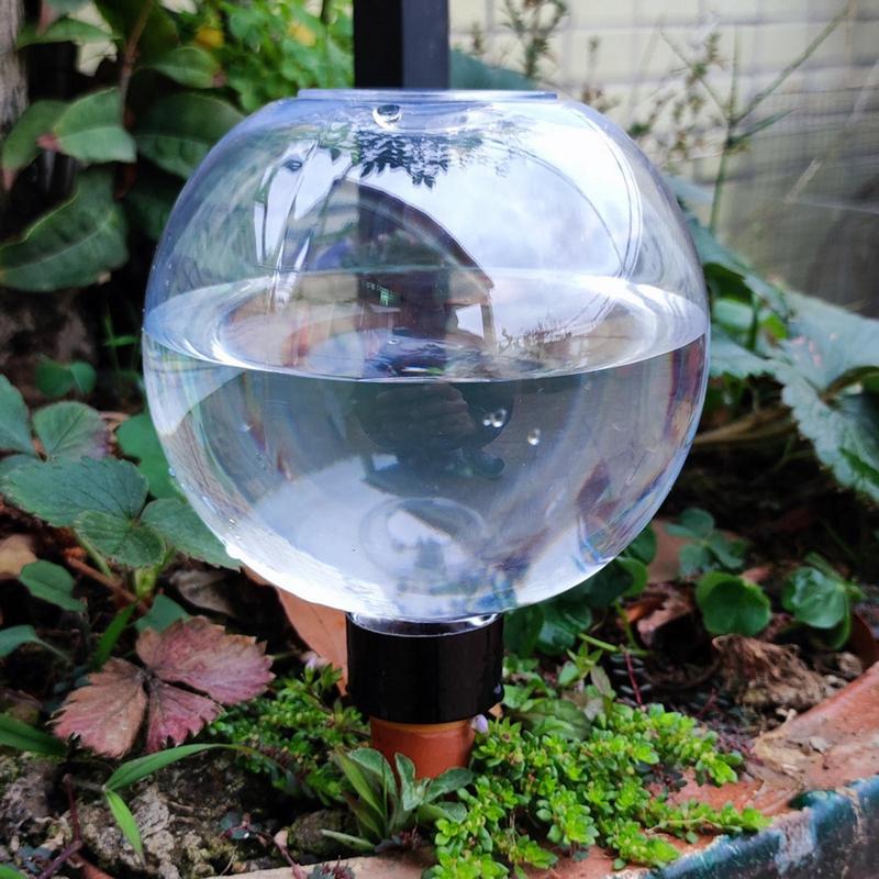 Plant Watering Bulbs Automatic - Self Watering Insert ulasan dan harga