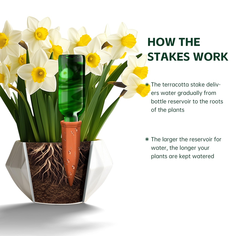 Terracotta Watering Spikes,Win - Self Watering Insert ulasan dan harga