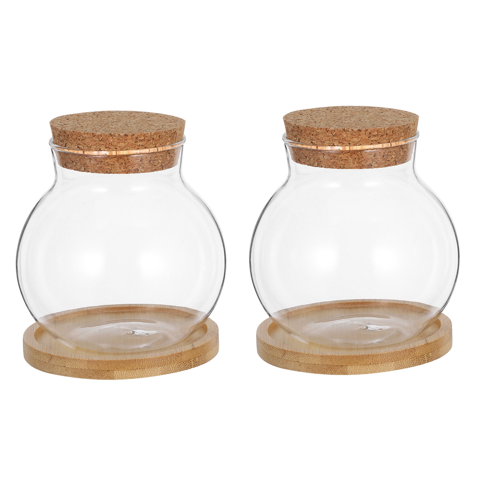 2Set Hydroponic Glass Elegant  - Propagation Station Vase ulasan dan harga